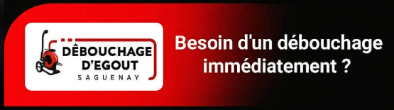 Débouchage plomberie / Débouchage d’égout Saguenay / Déracinage-Inspection-Refoulement d’égout photo 3